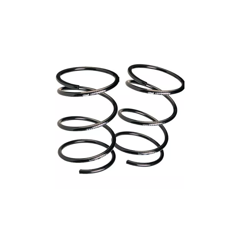 Kit Ressort Suspension Eibach Renault Clio 16S / Williams / Diesel