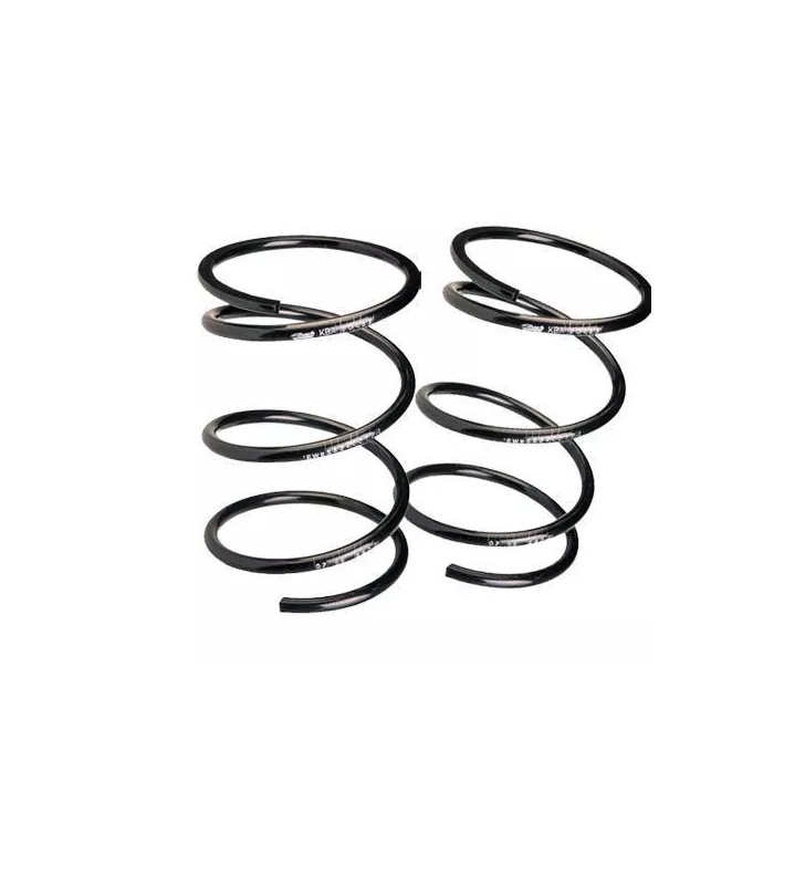 Kit Ressort Suspension Eibach Citroën Saxo 16s -45mm