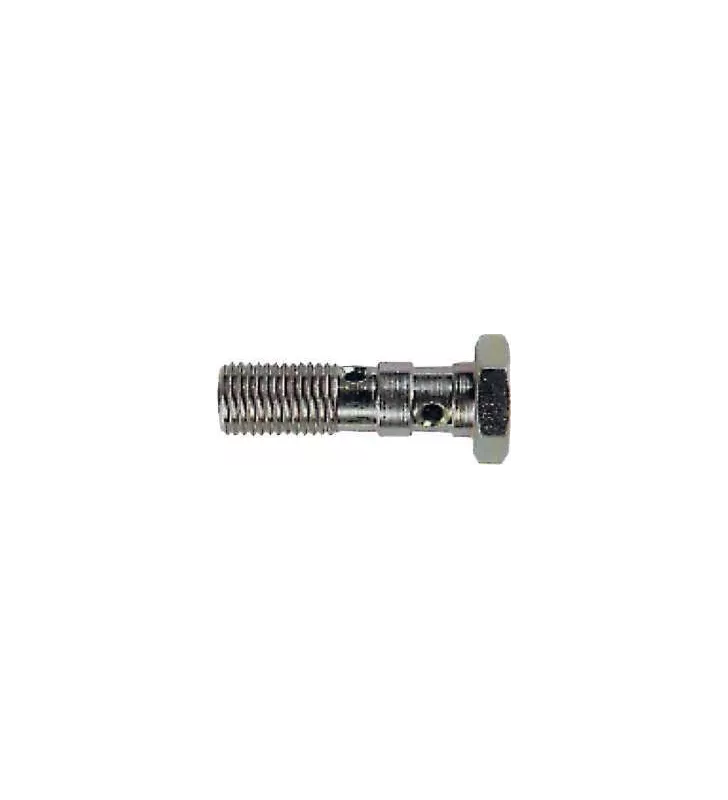 Vis Banjo Double 10X100 Inox
