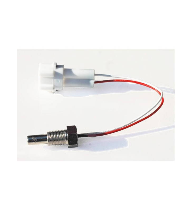 Sonde de temperature ACEWELL 1/8 NPT