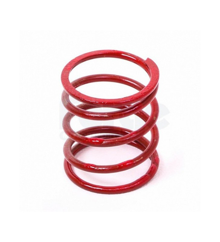 Ressort rouge (petit) 25 FMFSITVR   Dump valve