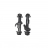 Kit 2 vis de carrossage Eibach Renault Clio 2 / Megane 2