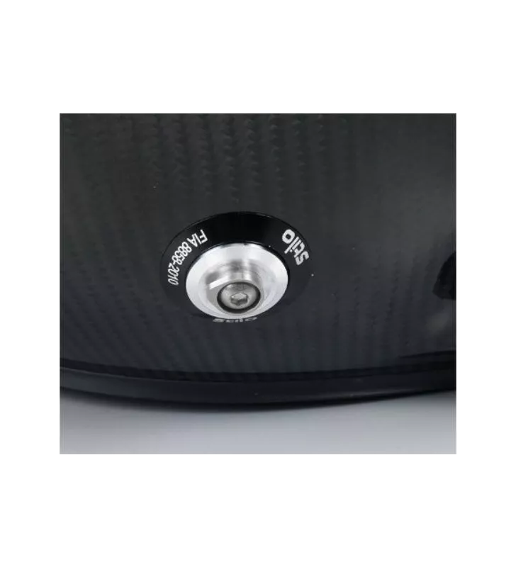 Clip Hans FIA8858-2010 (la paire)