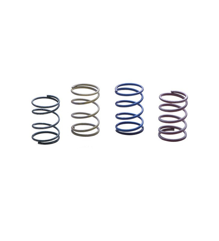 Kit de 4 Ressorts Forge pour Turbo / Dump Valve FMFSITVR