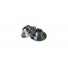 Cuvettes 206 16S EW10J4 (X16)