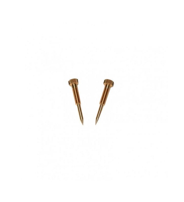 Vis by pass pour Carbu Weber (x2)