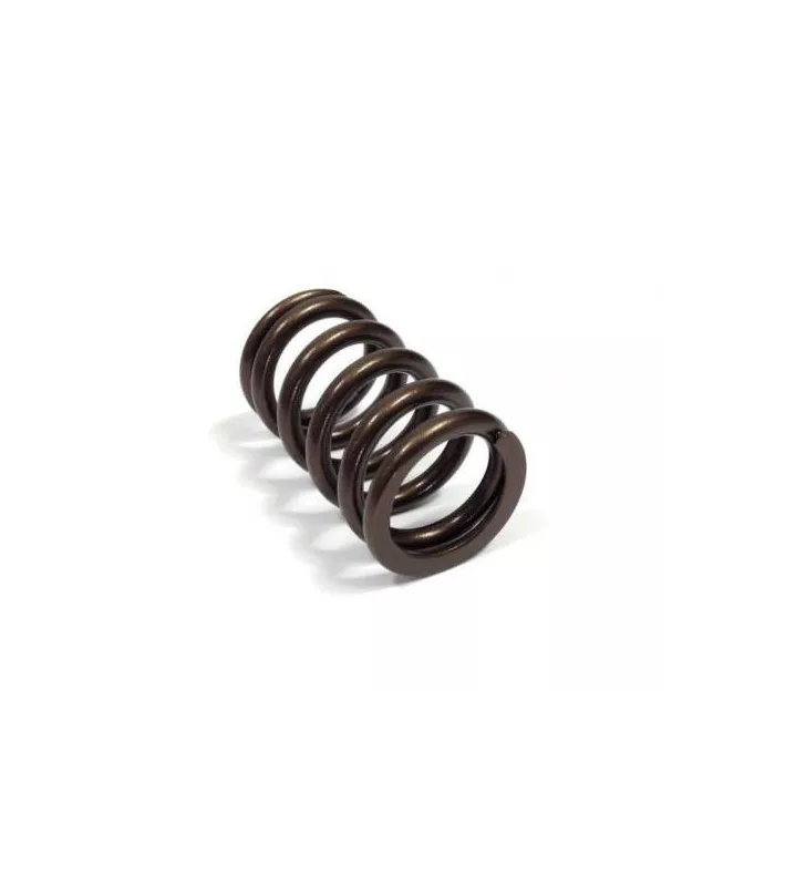 RESSORT SOUPAPE  EXT R5 Turbo (pièce)
