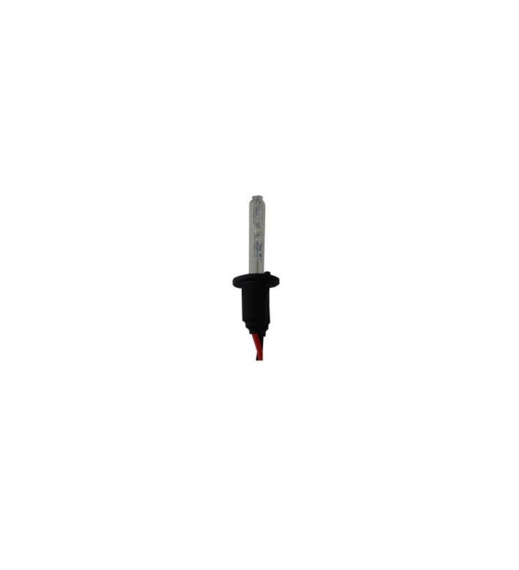 Ampoule Xenon H1 35W/6000K