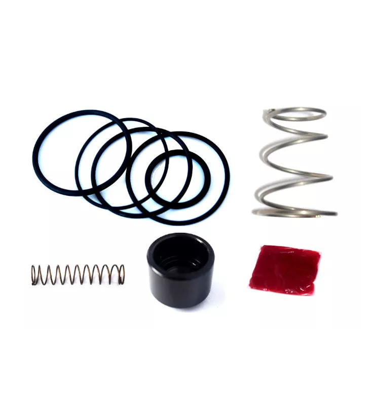 Kit réparation turbo valve Forge FMDVR60A