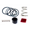 Kit réparation turbo valve Forge FMDVR60A