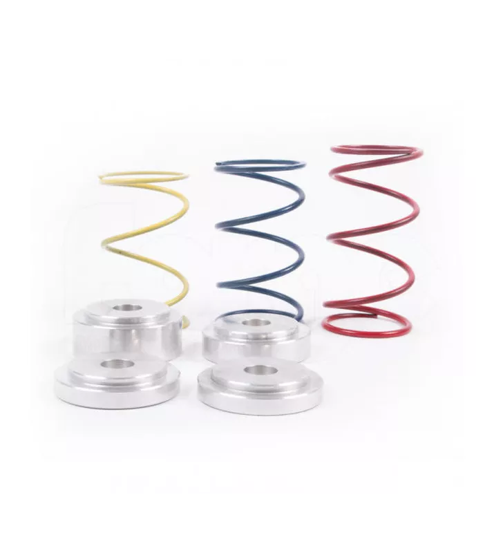 Ressort pour Dump Valve Forge FMBM335DV1