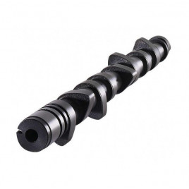 Arbre à Cames CAT CAMS BMW R56 EP6DT (X2)