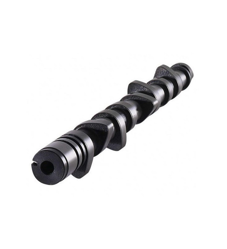 Arbre à Cames CAT CAMS BMW R56 EP6DT (X2)