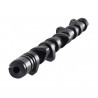 Arbre à Cames CAT CAMS BMW R56 EP6DT (X2)