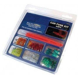 Boite 42 Fusibles Lumineux + 1 pince