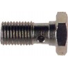 Vis Banjo Goodridge M10X100 Longue