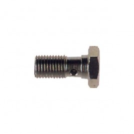Vis Banjo Goodridge M10X125 Inox