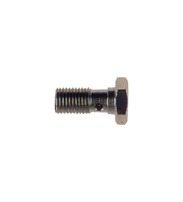 Vis Banjo Goodridge M10X125 Inox