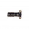 Vis Banjo Goodridge M10X125 Inox